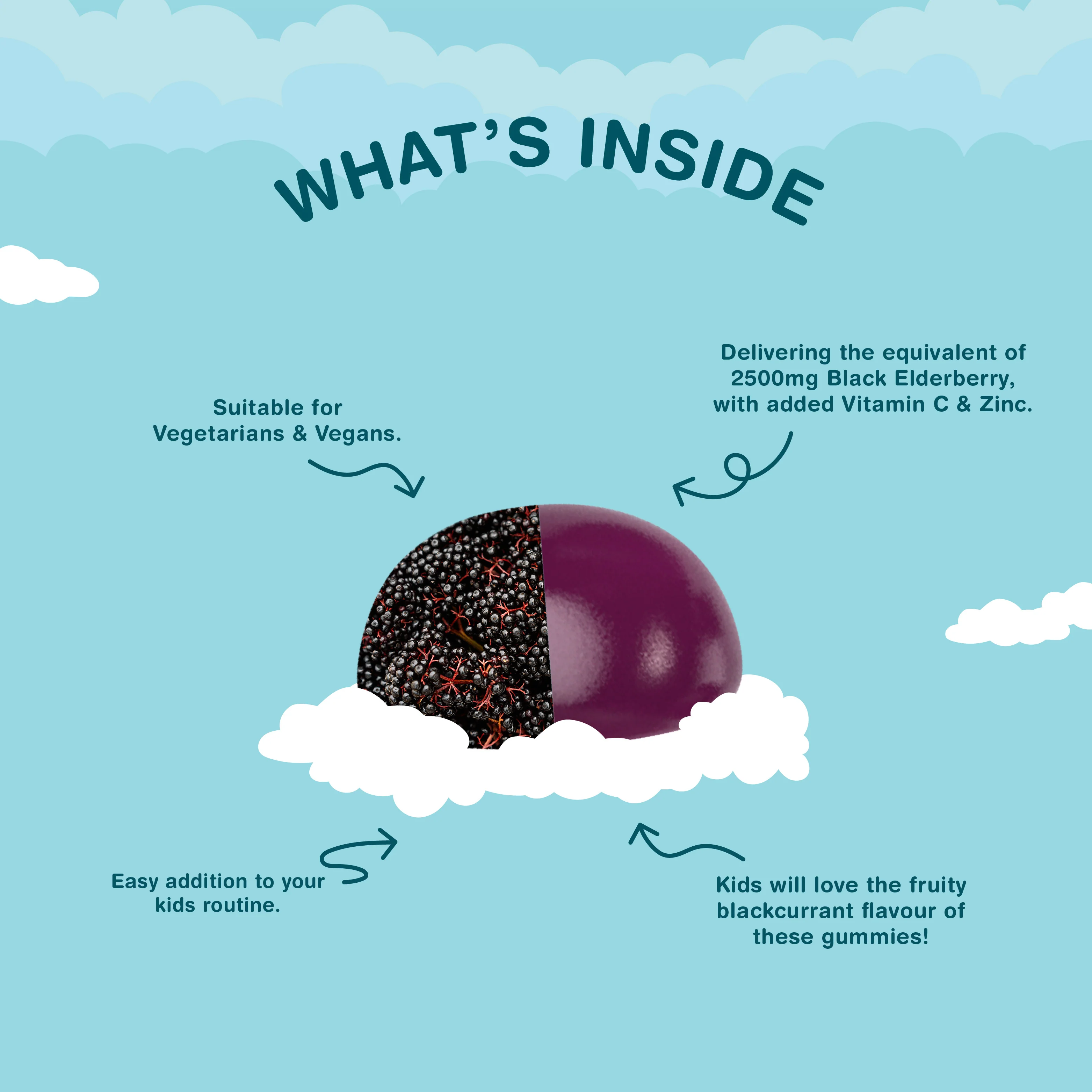 Black Elderberry for Kids | 60 Gummies - Image 2