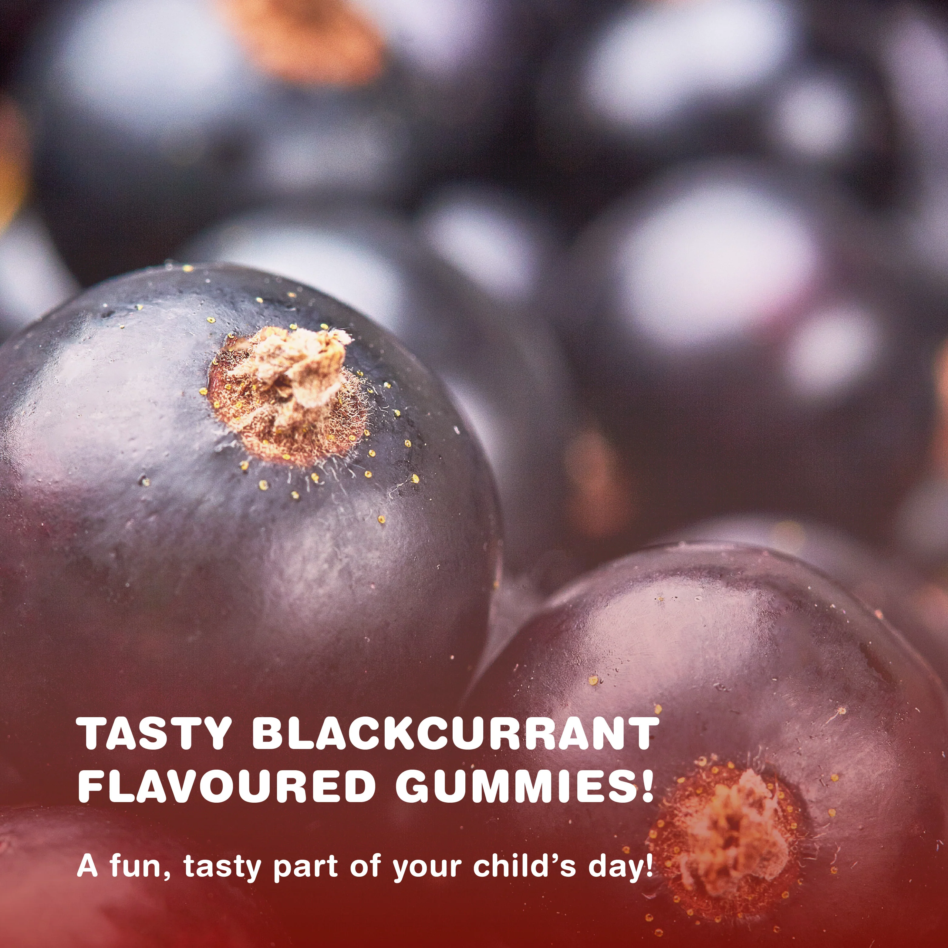 Black Elderberry for Kids | 60 Gummies - Image 5