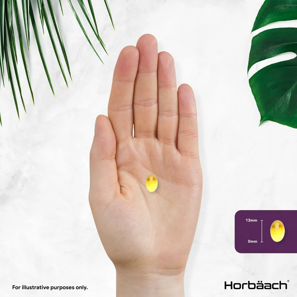 Blackcurrant Seed Oil 1000 mg | 90 Softgels - Image 5