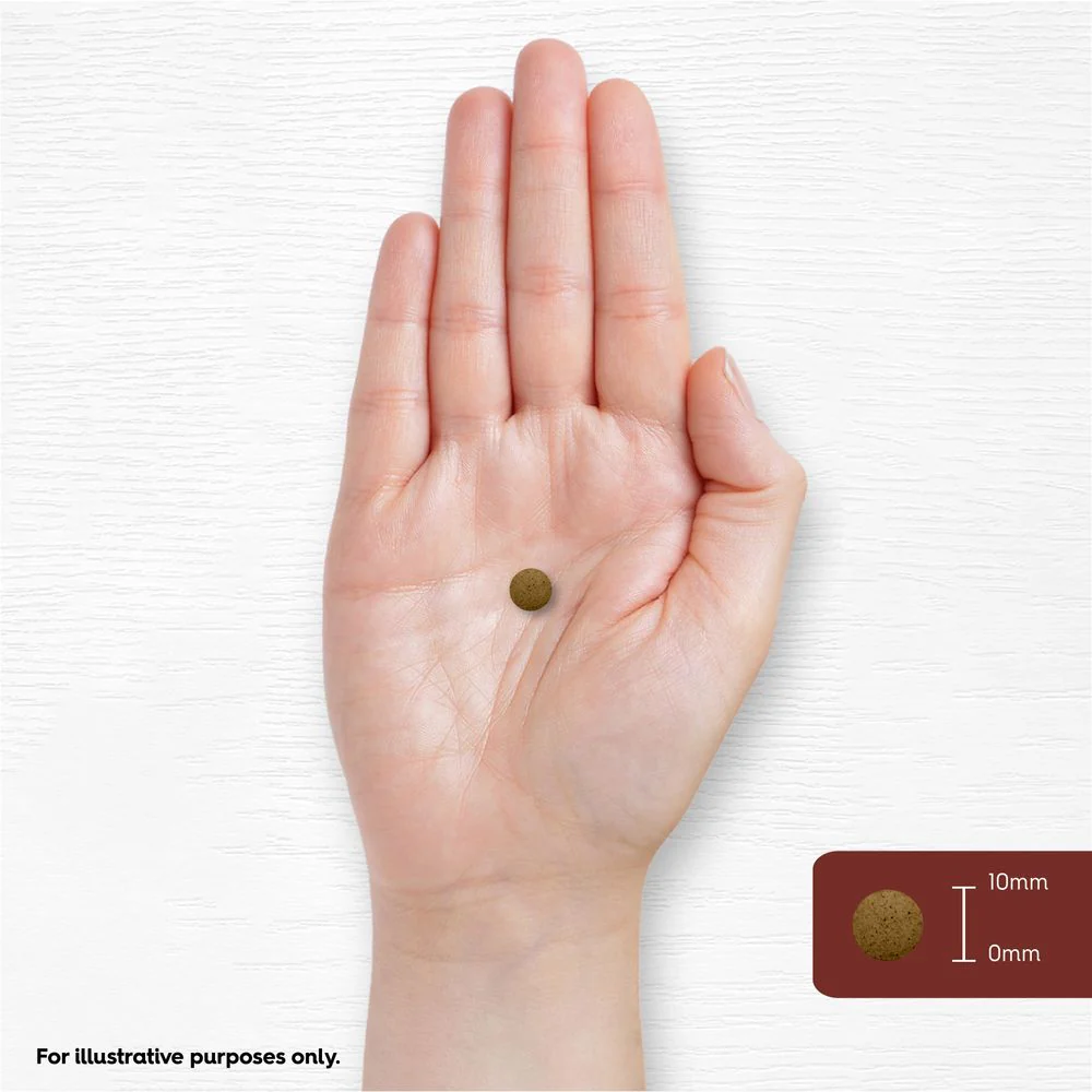 Ceylon Cinnamon 5000 mg | 180 Tablets - Image 7