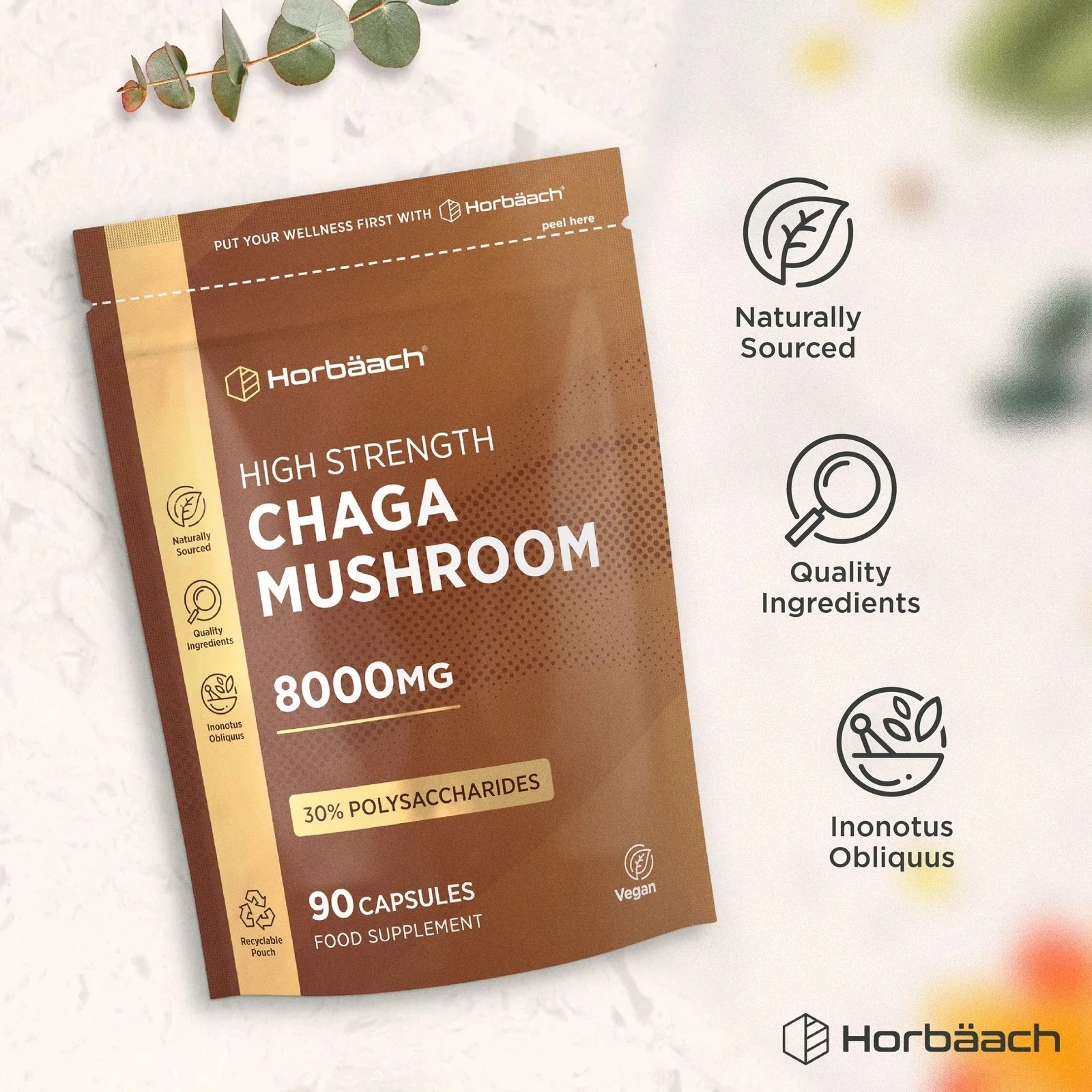 Chaga Mushroom 8000 mg | 90 Capsules - Image 4