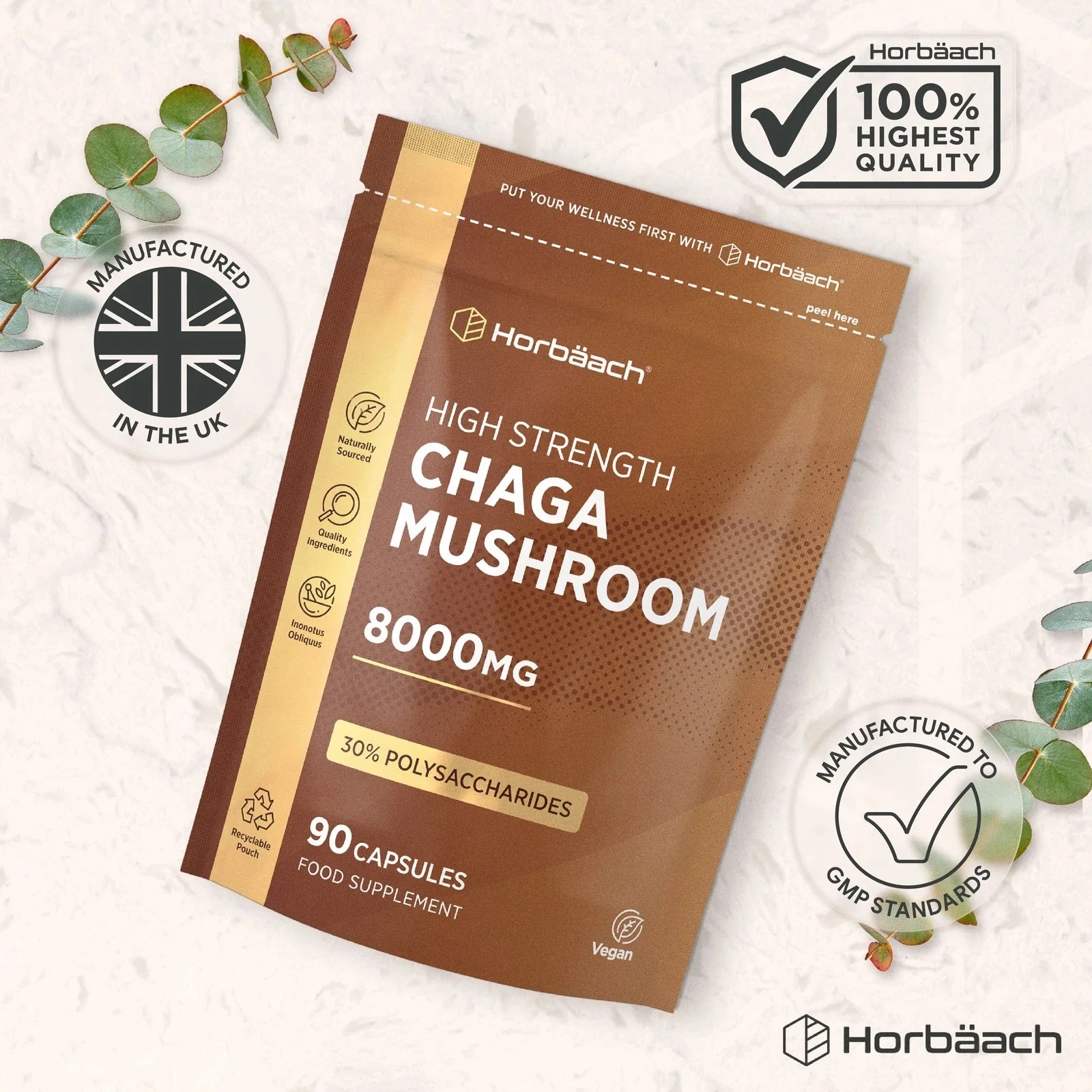 Chaga Mushroom 8000 mg | 90 Capsules - Image 5