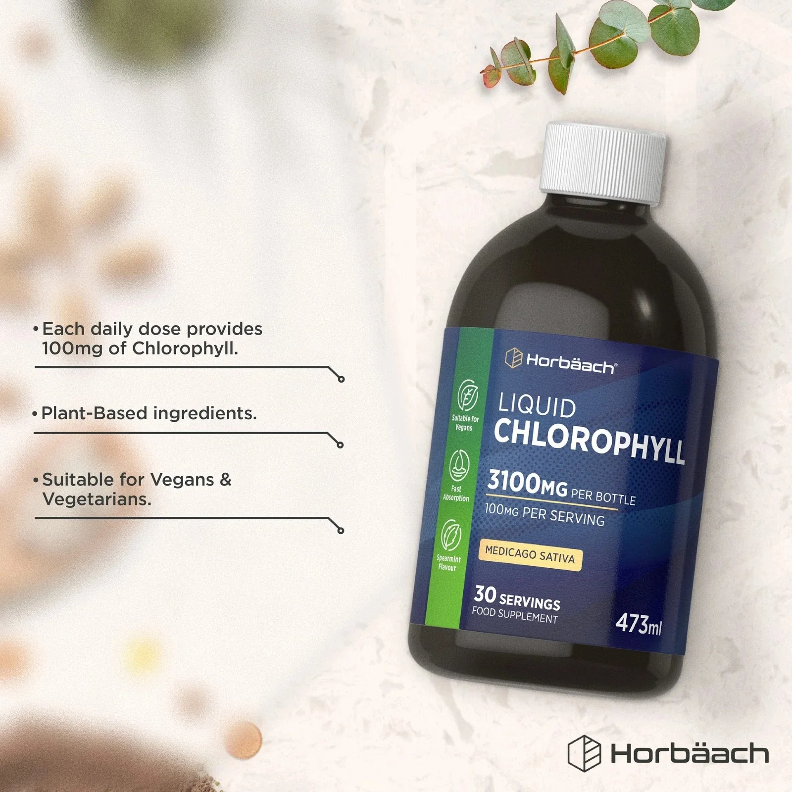 Chlorophyll Liquid 100 mg | 473 ml - Image 2