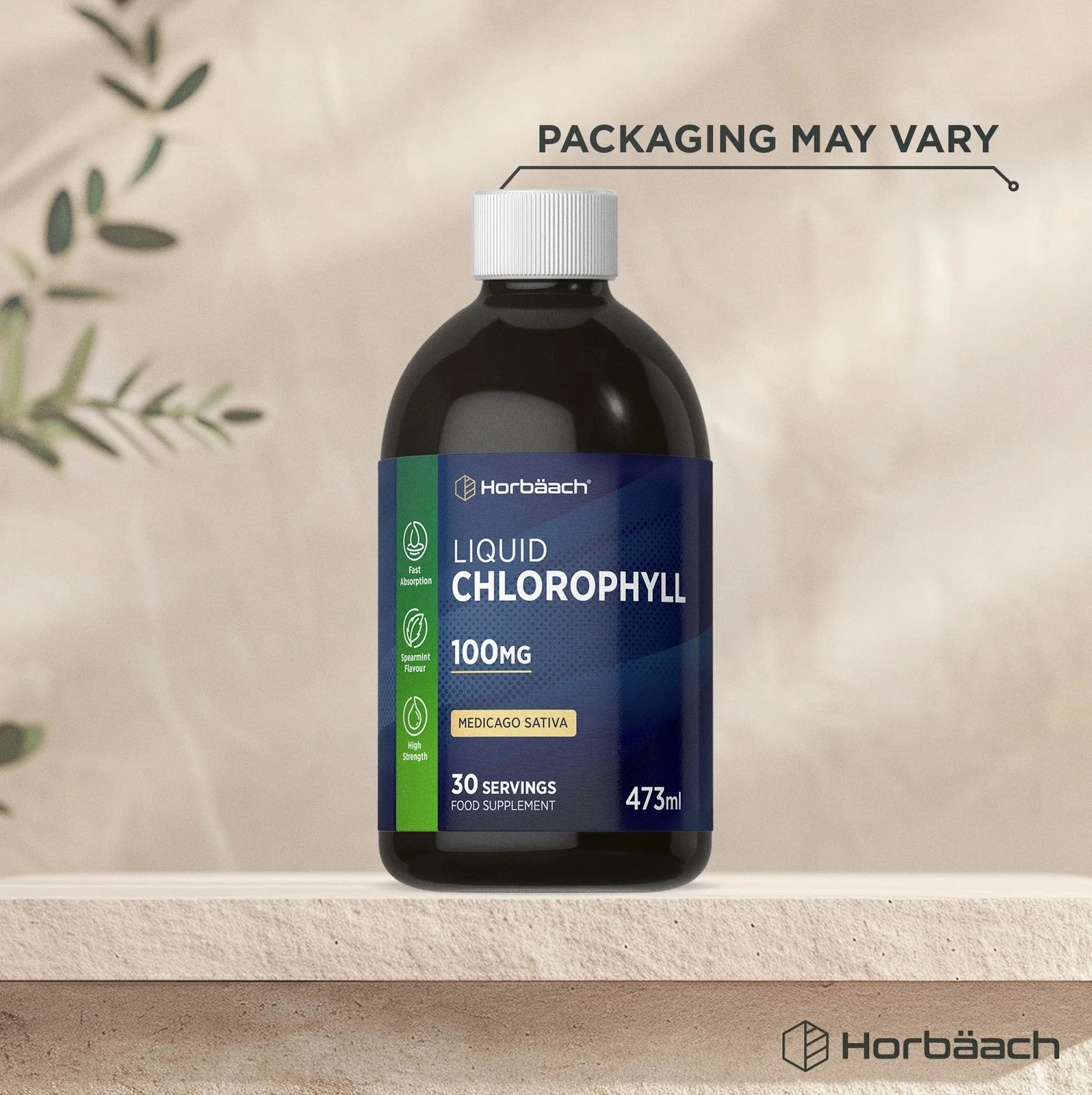 Chlorophyll Liquid 100 mg | 473 ml - Image 4