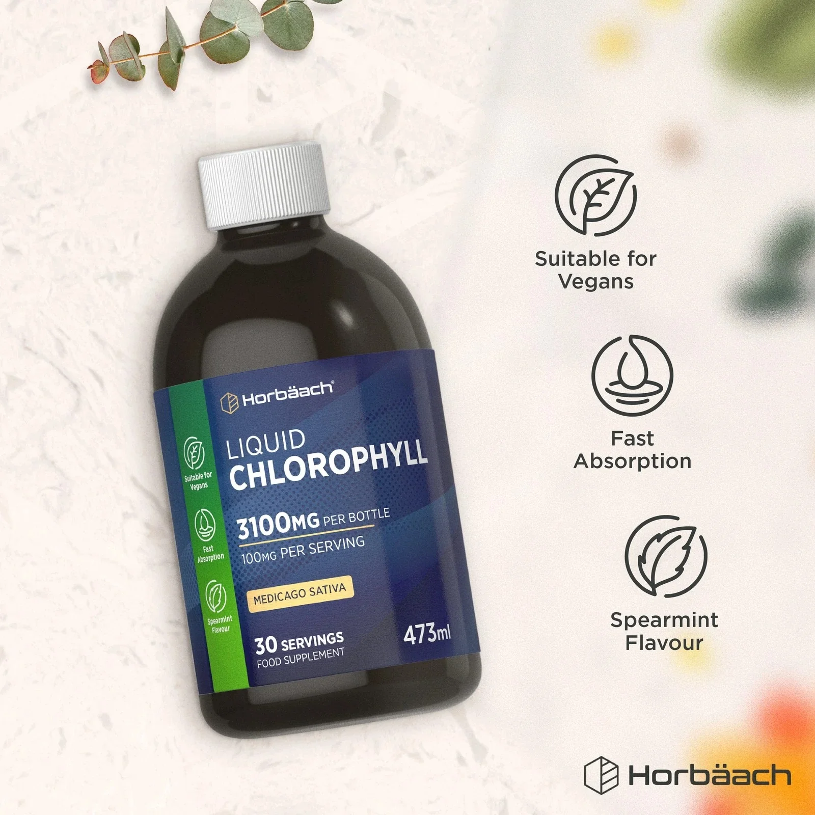 Chlorophyll Liquid 100 mg | 473 ml - Image 6
