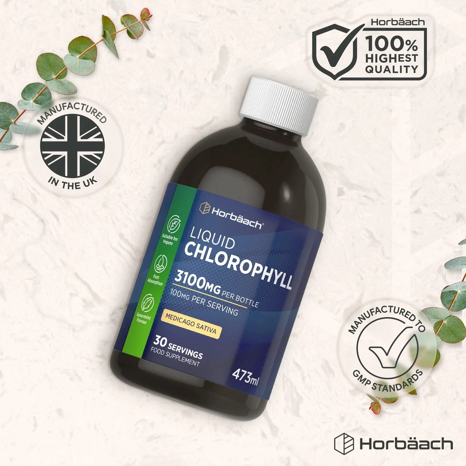Chlorophyll Liquid 100 mg | 473 ml - Image 7