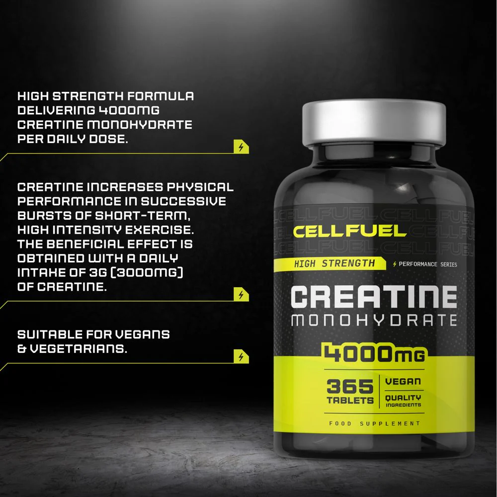 Creatine Monohydrate 4000 mg | 365 Tablets - Image 2