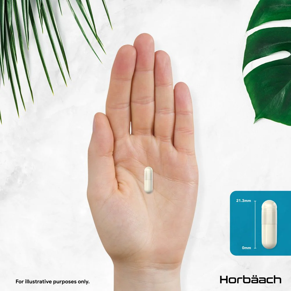 Focus Complex with Cognitive Support | 180 Capsules - Image 5