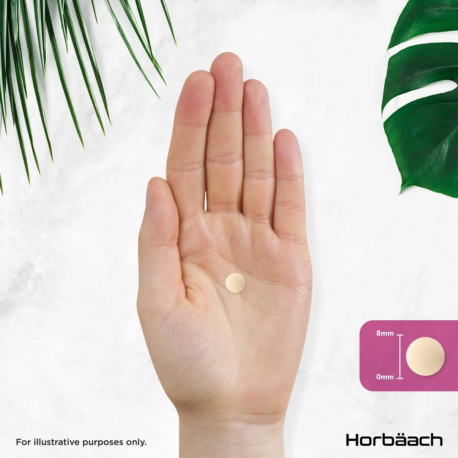 Milk Thistle | 240 Tablets - Image 5