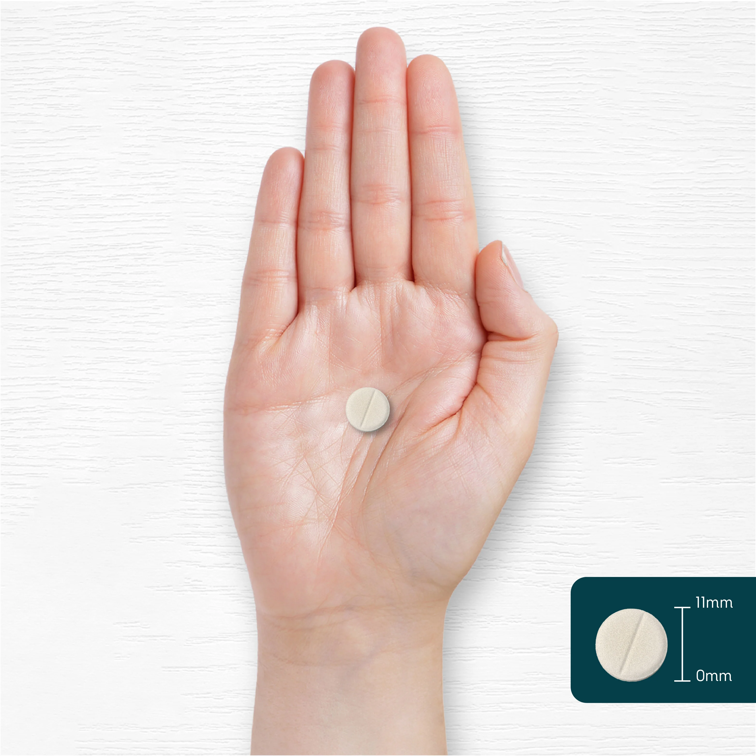 Multivitamins and Minerals | 365 Tablets - Image 7