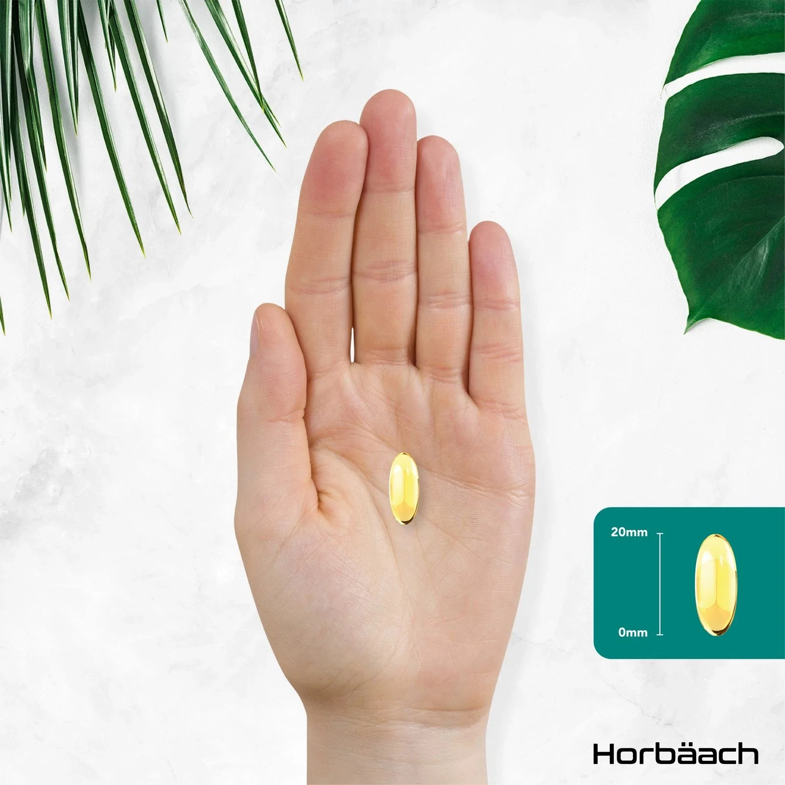 Omega 3 1500 mg | Vegan | 60 Softgels - Image 5