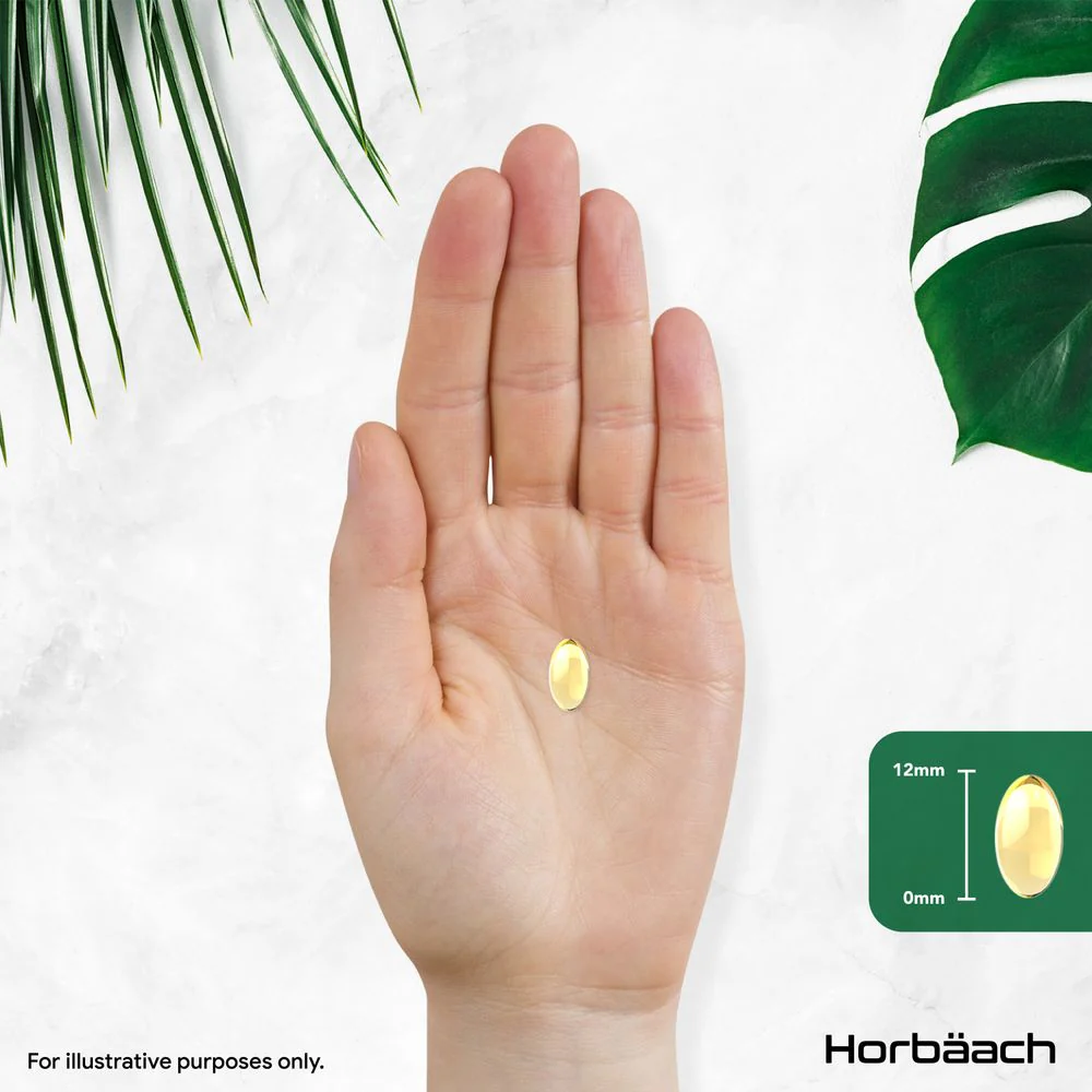 Oregano Oil 200 mg | 90 Softgels - Image 6