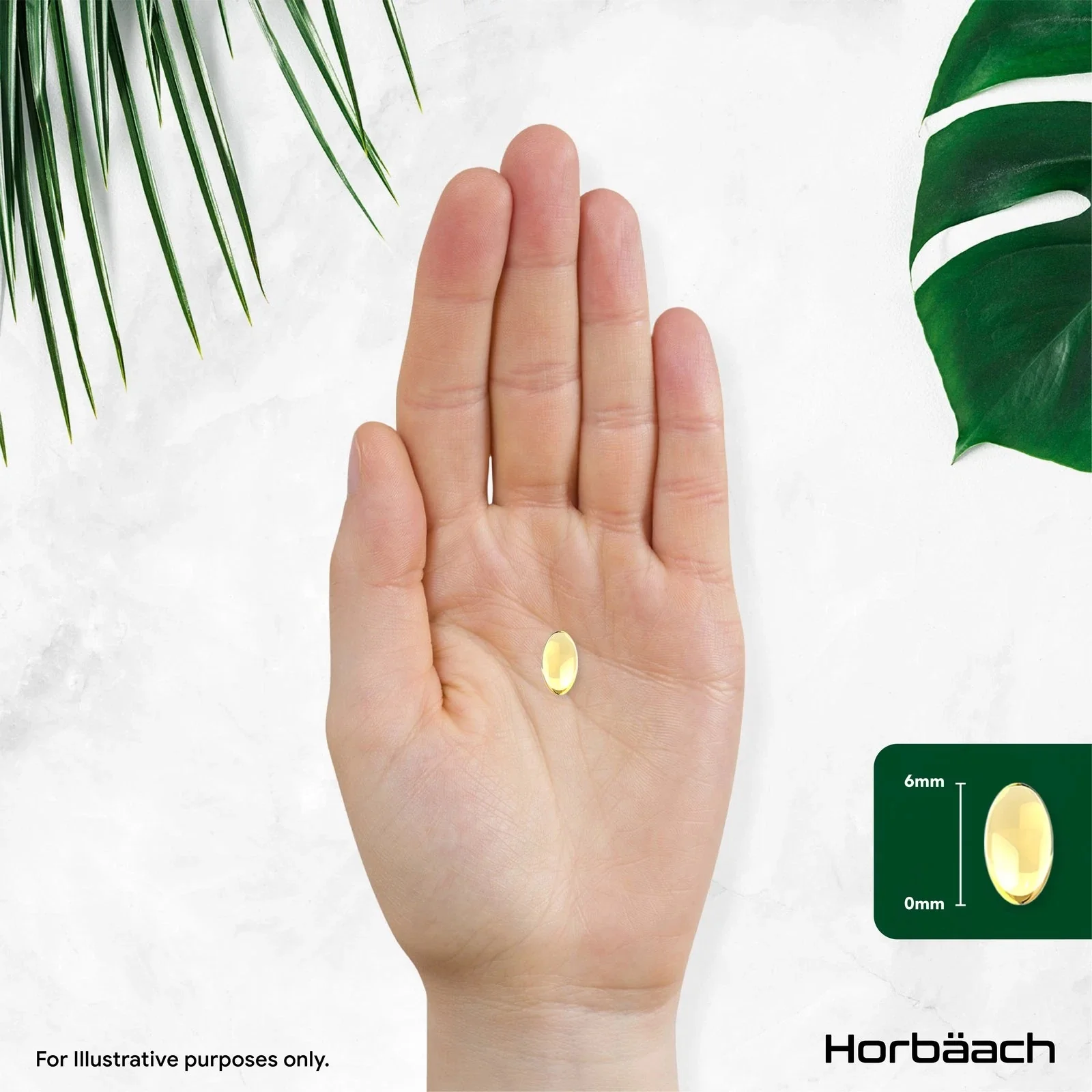 Peppermint Oil 200 mg | 365 Softgels - Image 5