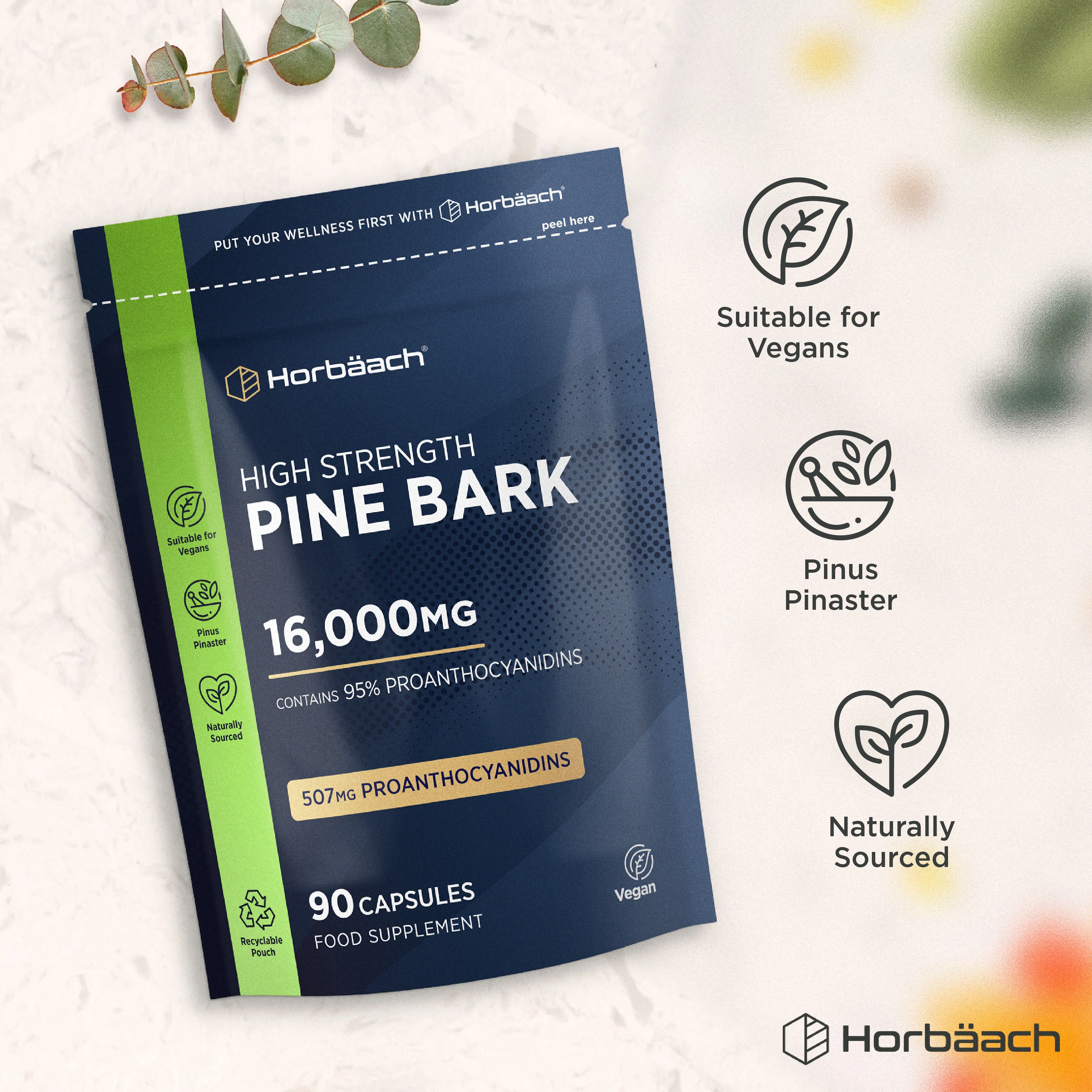 Pine Bark 16000 mg | 180 Capsules - Image 4