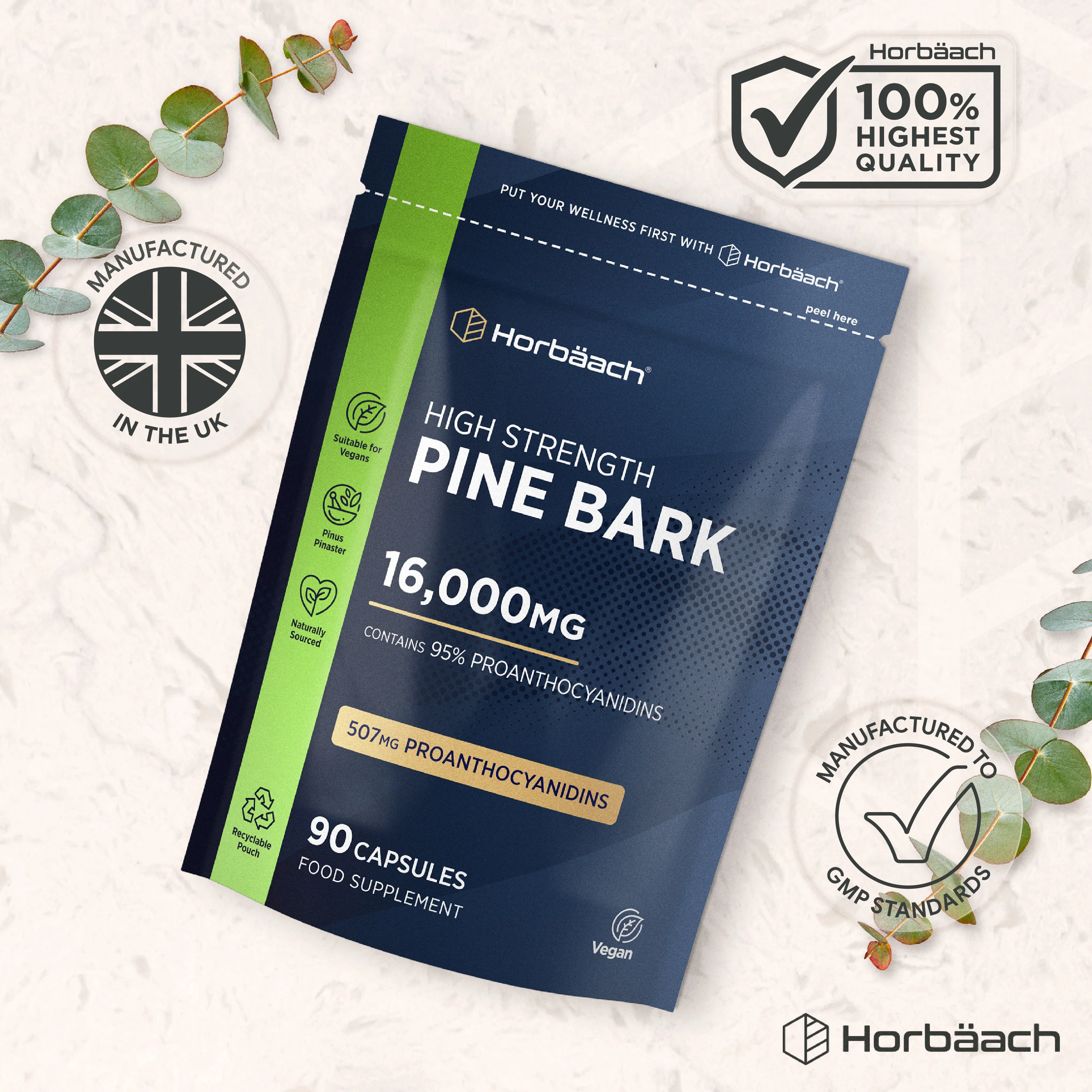Pine Bark 16000 mg | 180 Capsules - Image 5