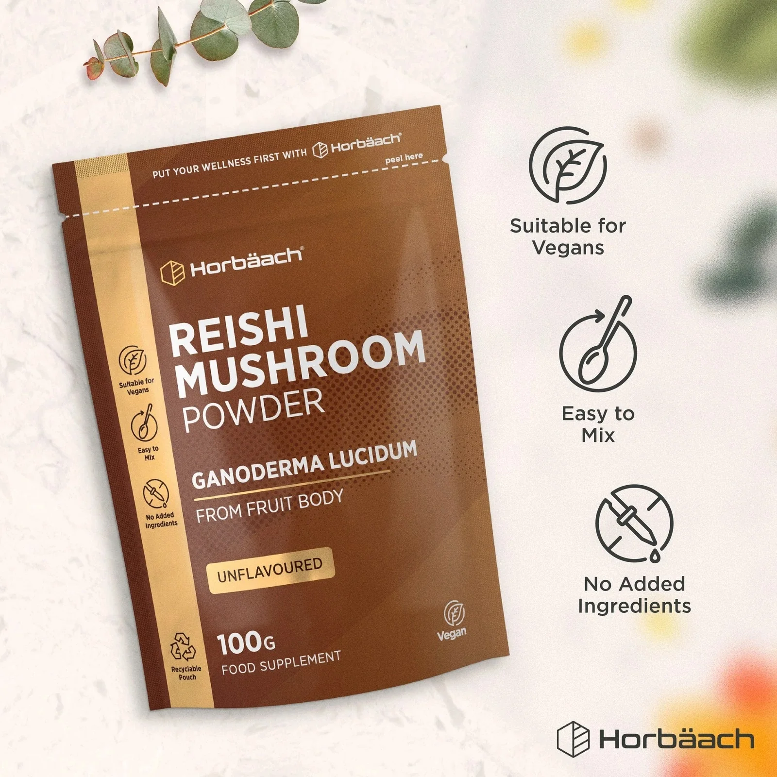 Reishi Mushroom Powder | 100 g - Image 5