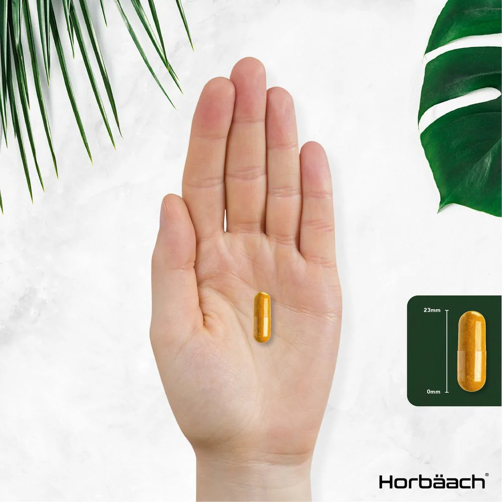 Turmeric Complex with Ginger, Black Pepper 2160 mg | Organic | 365 Capsules - Image 8