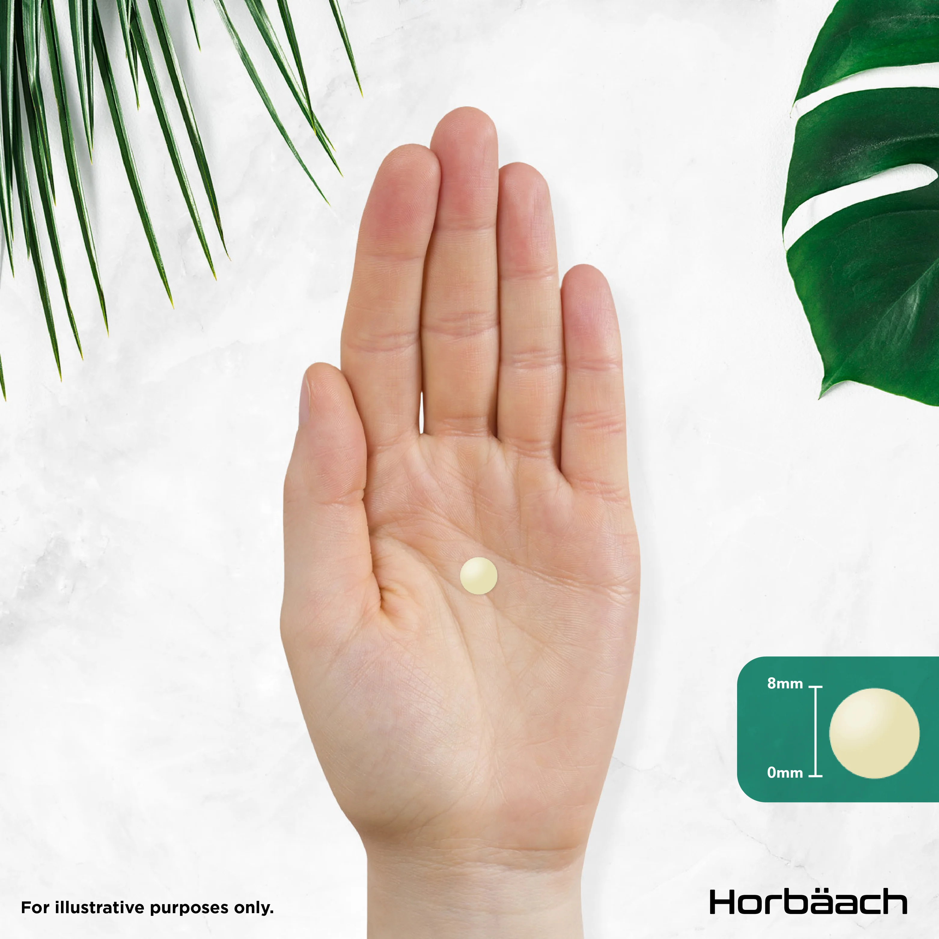 Vitamin B Complex | 365 Tablets - Image 7